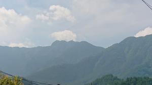 mitsutoge 049