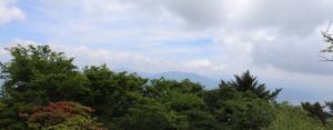 mitsutoge 051