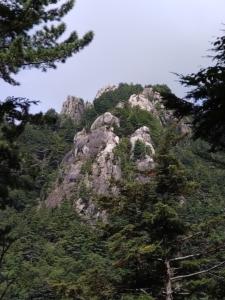 mizugaki 024