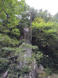 mizugaki 028