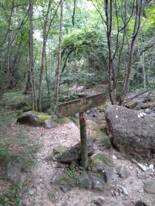mizugaki 029