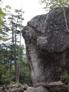 mizugaki 035