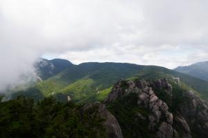 mizugaki 044