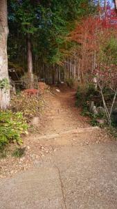 momokurayama 008