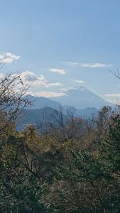 momokurayama 045