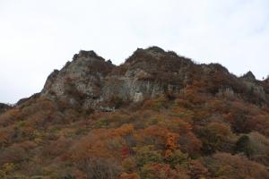 myogi 059