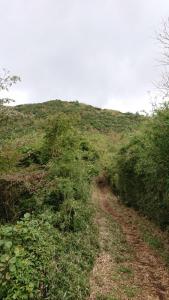 myojingatake 015