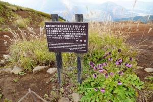 myojingatake 047