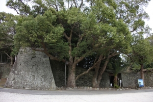 nagasaki184