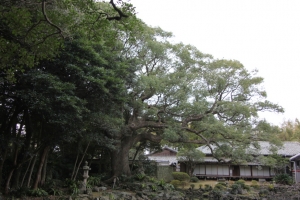 nagasaki195