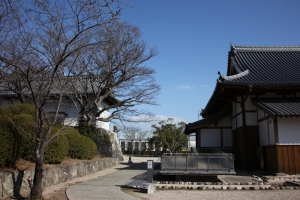 nagasaki276