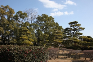 nagasaki294