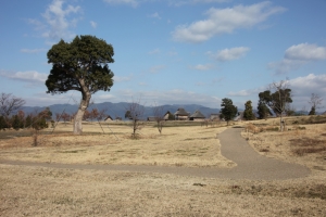 nagasaki226