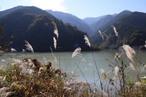 naguriko 011