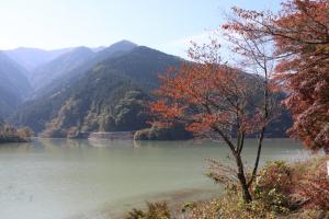 naguriko 013