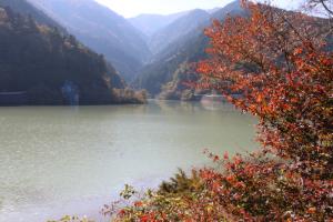 naguriko 014
