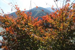 naguriko 016