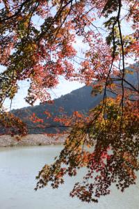 naguriko 019