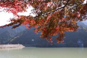 名栗湖２０１７（１／４）