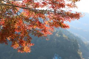 naguriko 024