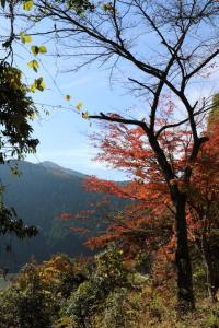 naguriko 029