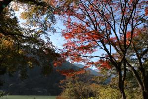 naguriko 041
