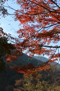 naguriko 042