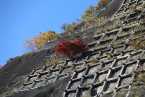 naguriko 050