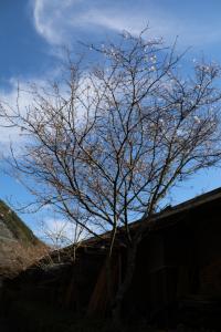 naguriko 055