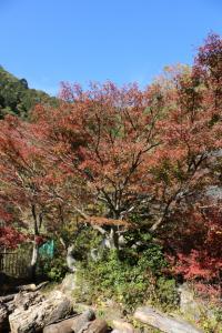 naguriko 058