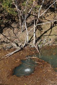 naguriko 061