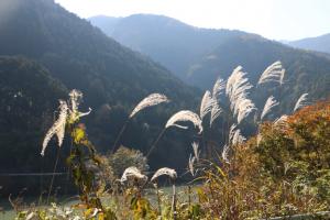 naguriko 065