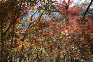 naguriko 071
