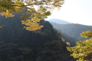 naguriko 080