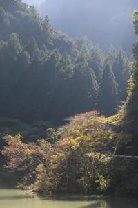 naguriko 081