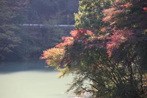 naguriko 087