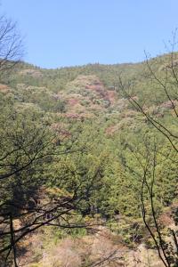 naguriko 093