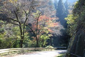 naguriko 095