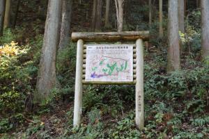 naguriko 097
