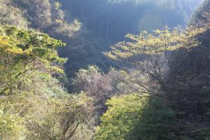 naguriko 133