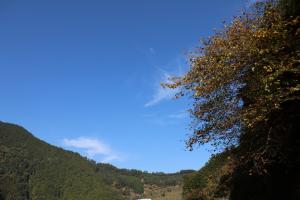 naguriko 137