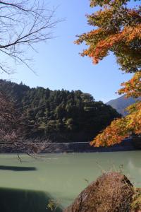 naguriko 142