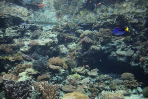 okinawa naha 197