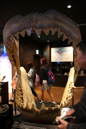 okinawa naha 239