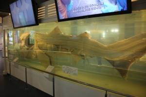 okinawa naha 248
