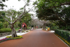 okinawa naha 149