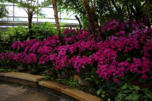 okinawa naha 159