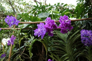 okinawa naha 163