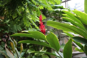 okinawa naha 174