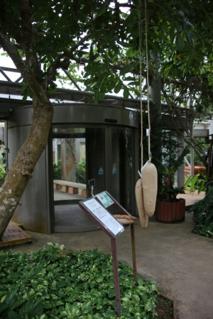 okinawa naha 177